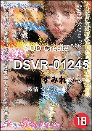 DSVR-01245