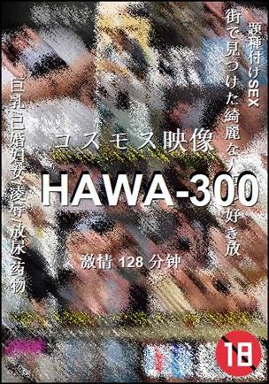 HAWA-300