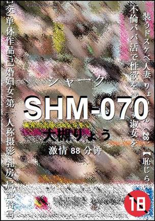 SHM-070Ӱȷ