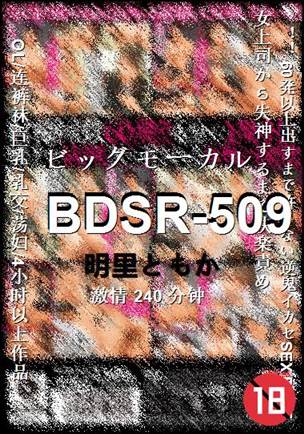 BDSR-509Ӱȷ