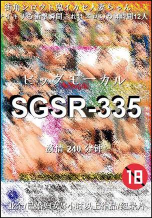 SGSR-335Ӱȷ