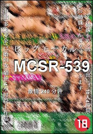 MCSR-539Ӱȷ