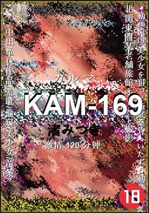 KAM-169Ӱȷ