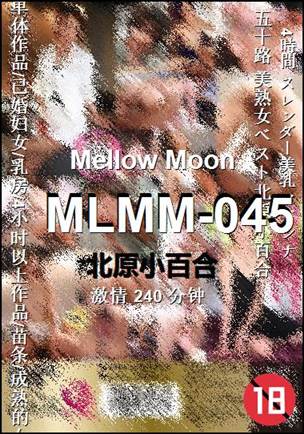 MLMM-045