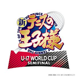  U-17 WORLD CUP SEMIFINAL߹ۿ
