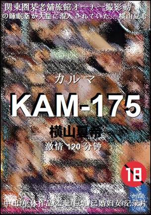 KAM-175Ӱȷ