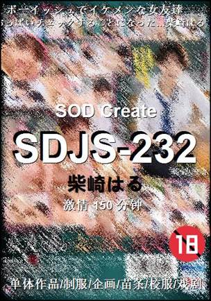 SDJS-232Ӱȷ