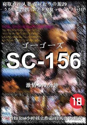 SC-156Ӱȷ