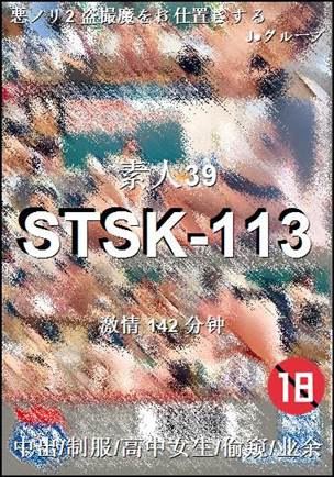 STSK-113Ӱȷ