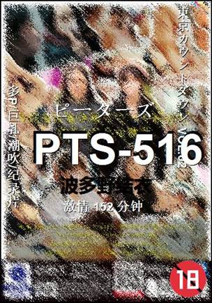 PTS-516Ӱȷ