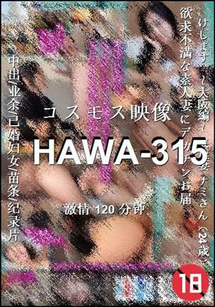 HAWA-315Ӱȷ