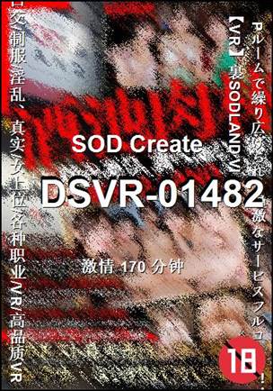 DSVR-01482