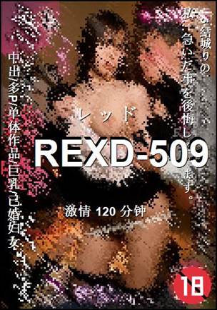REXD-509Ӱȷ