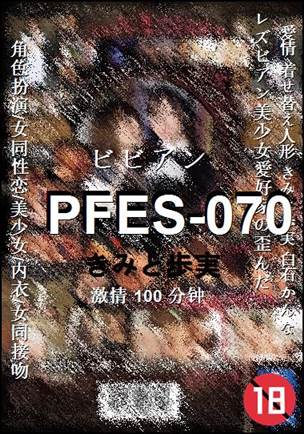 PFES-070Ӱȷ
