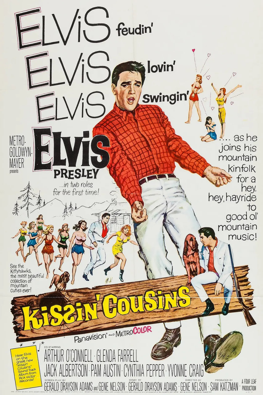 ��Ұ�Ҵ��첥