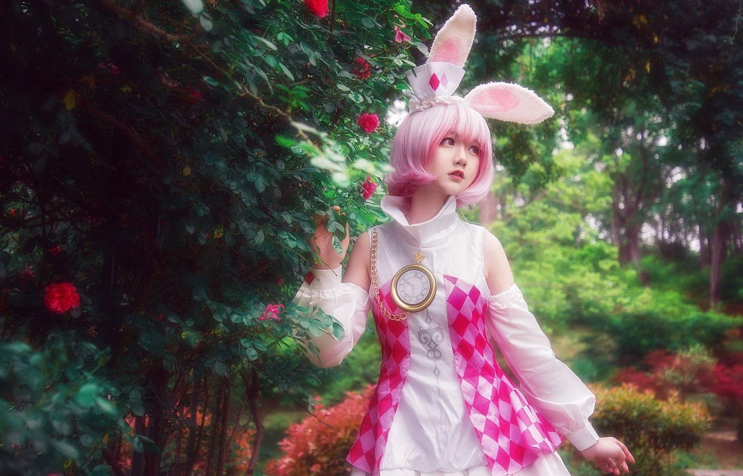 ���������ĻMV����