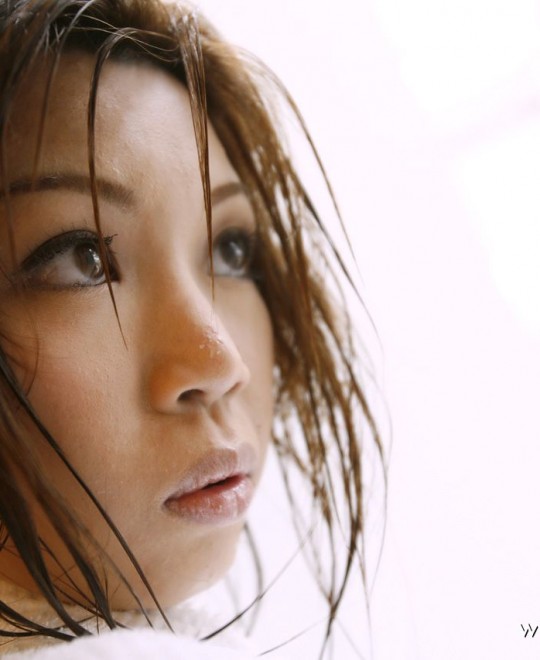 �鶹��������������˭�ݵ�